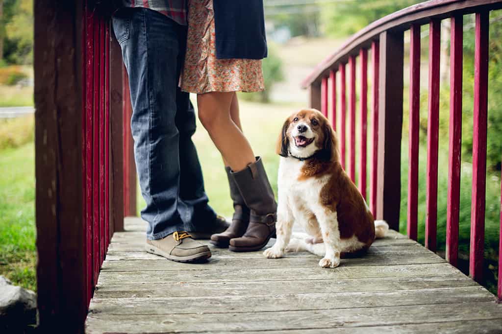 engagement shoot with dog