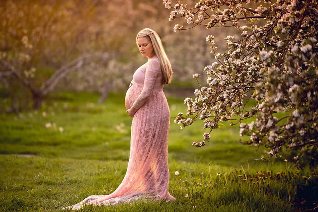 Spring maternity shoot with ethereal pink lace maternity dress at a flowering orchard