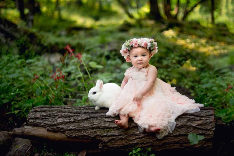 Enchanted Forest Minis : Hudson Valley NY Photographer