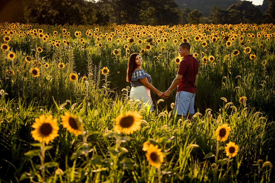 sunflower field engagement session (13)