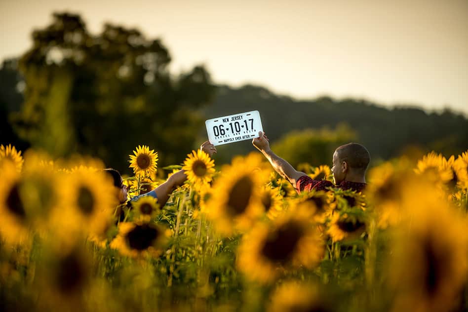 sunflower field engagement session (15)