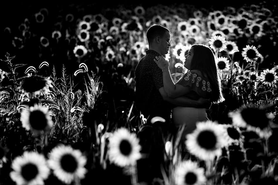 sunflower field engagement session (18)