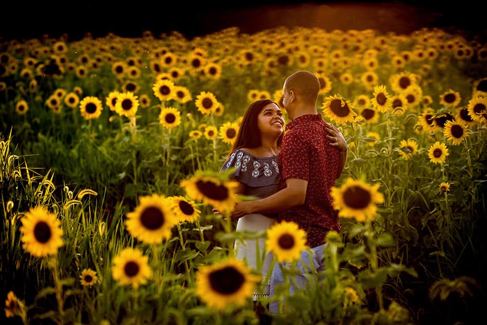 sunflower field engagement session (21)