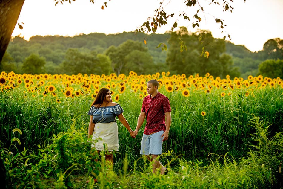 sunflower field engagement session (22)