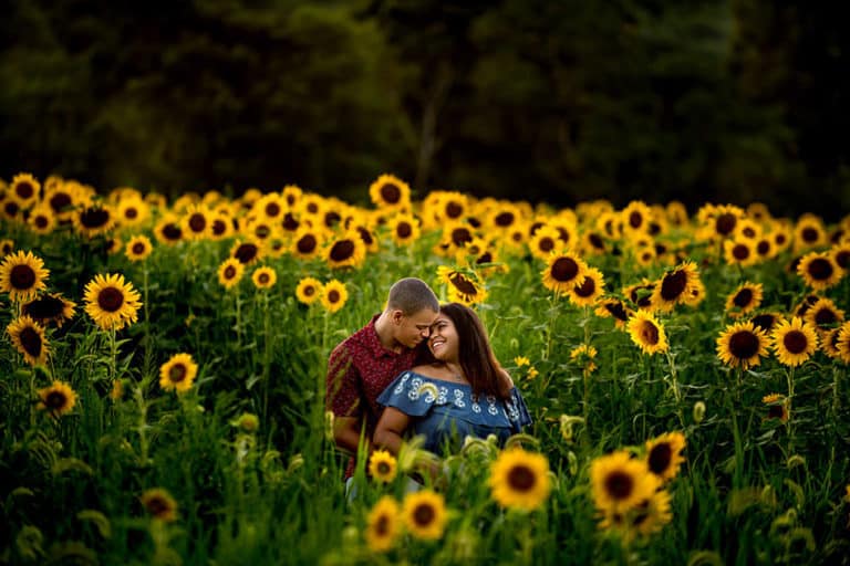 Sussex County Sunflower Maze Engagement