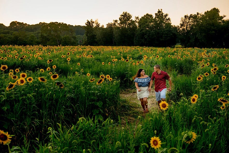 Couple running through sunflower maze at engagement session