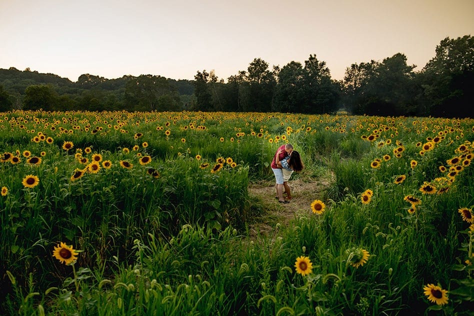 sunflower field engagement session (28)
