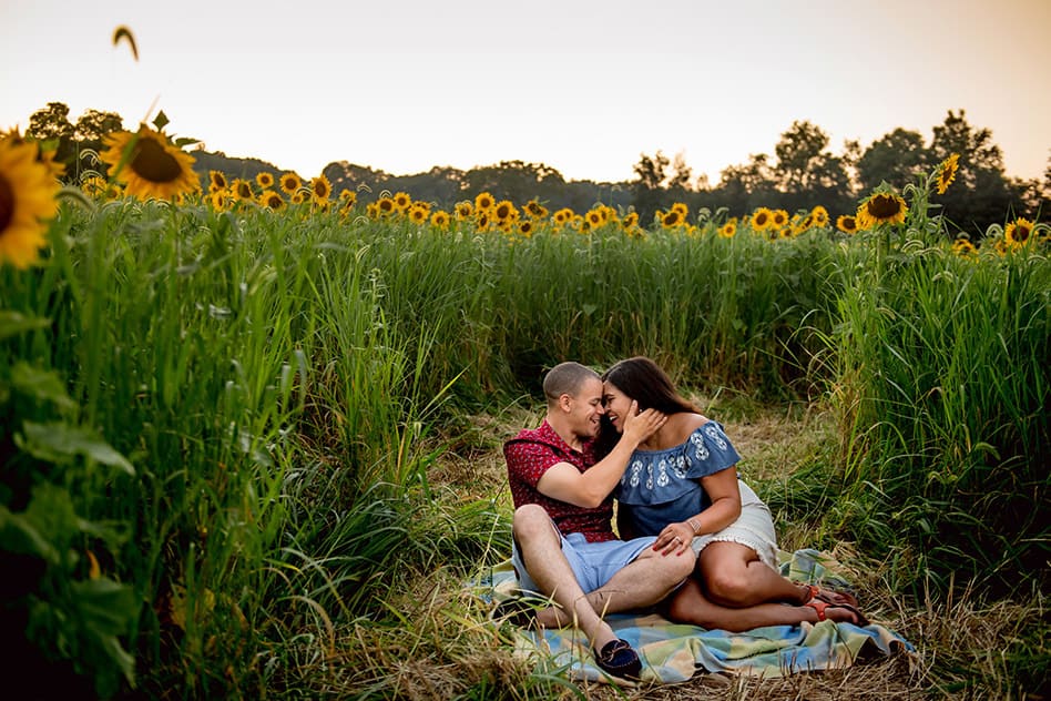 sunflower field engagement session (31)