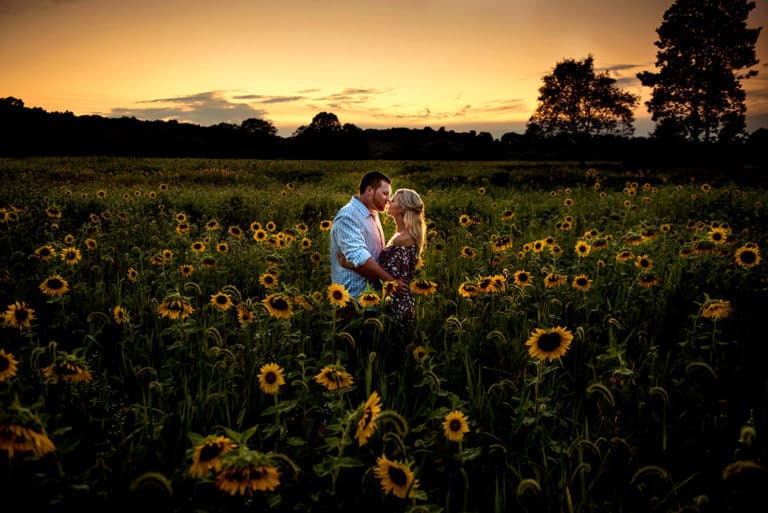 Sussex County Sunflower Maze Engagement