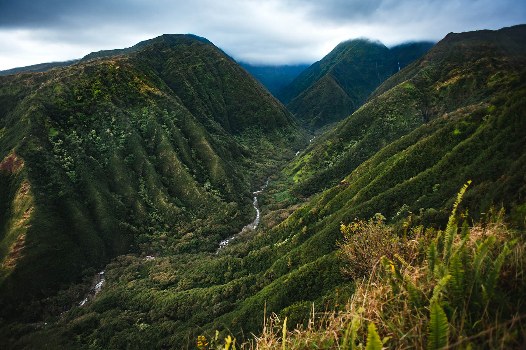 Waihe'e Ridge trail Maui Hawaii