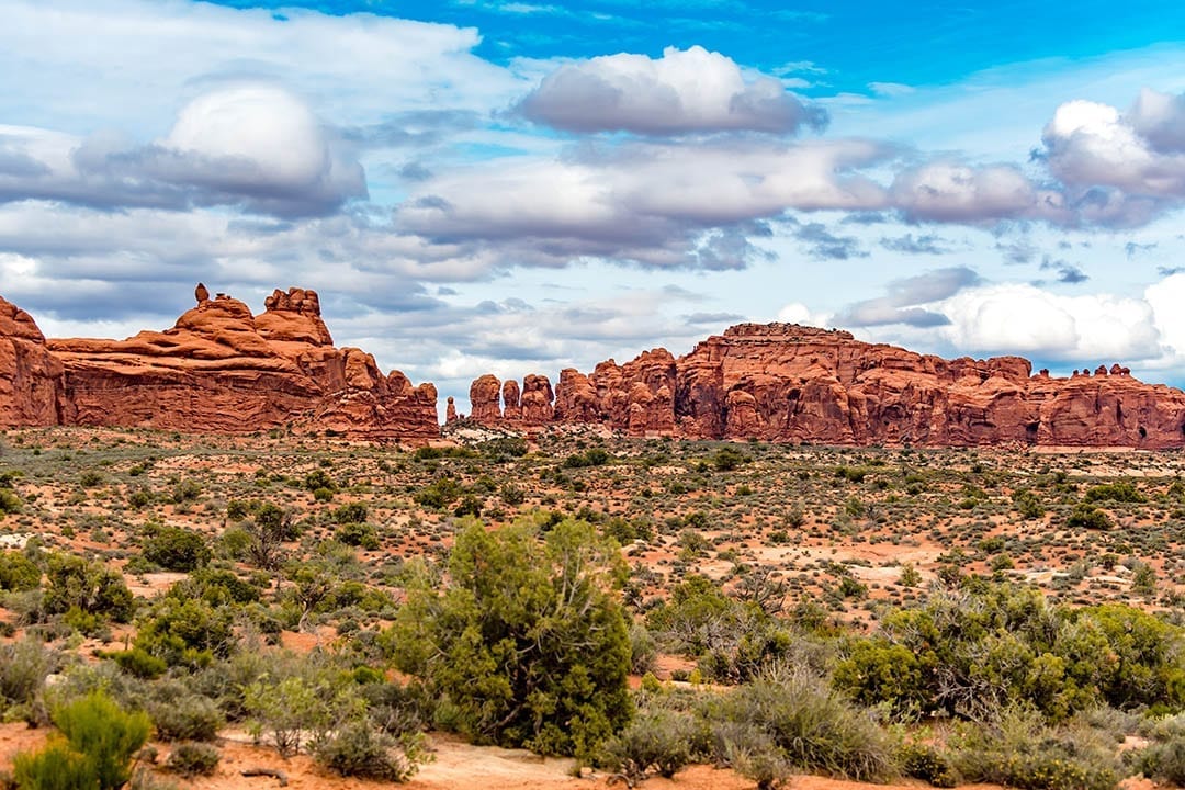 Arches National Park Picture