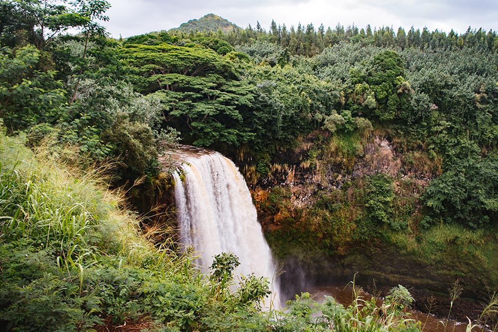 Wailua Falls kauai