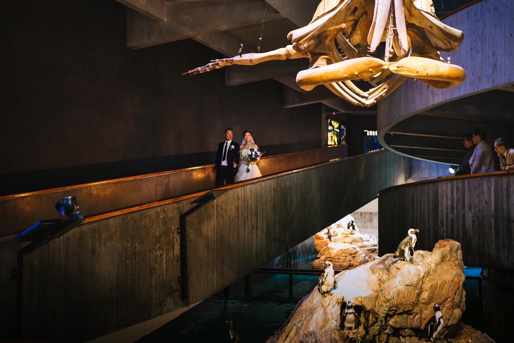 New England Aquarium ceremony by penguin tank