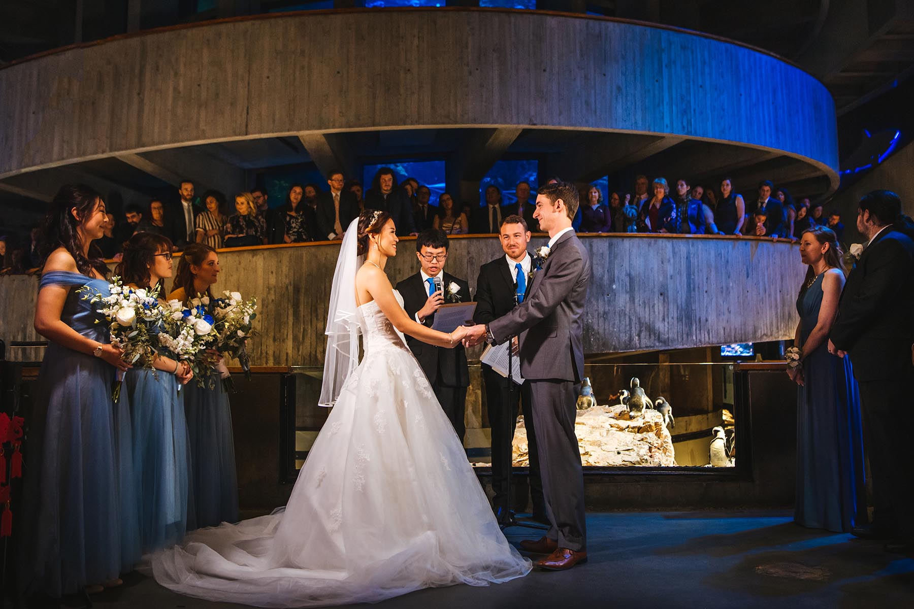 New England Aquarium Wedding