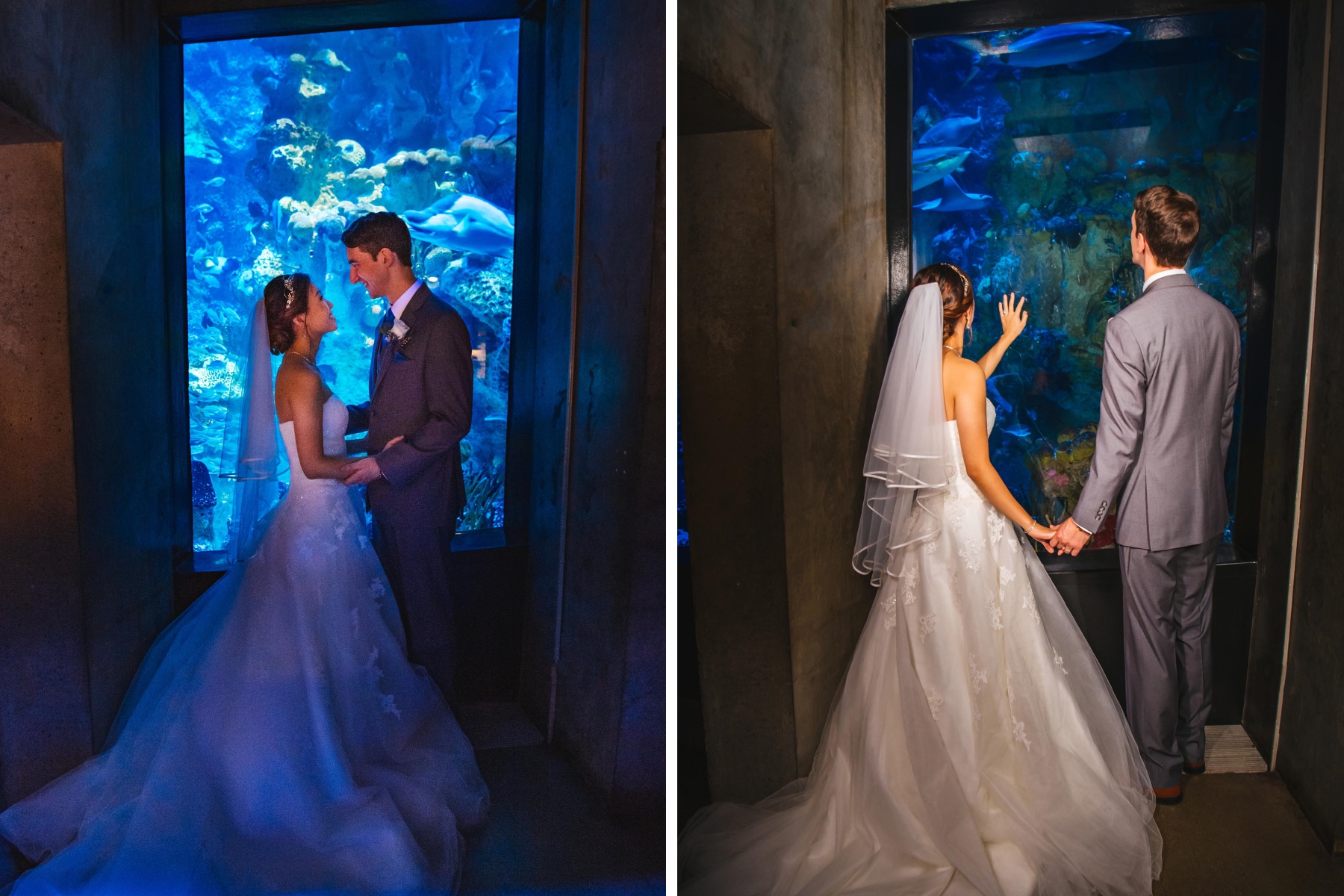 Aquarium wedding venue