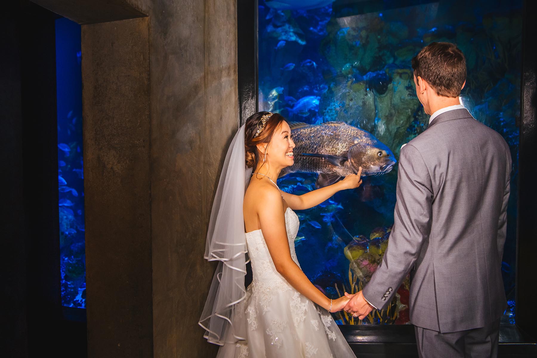 Aquarium Wedding Photos