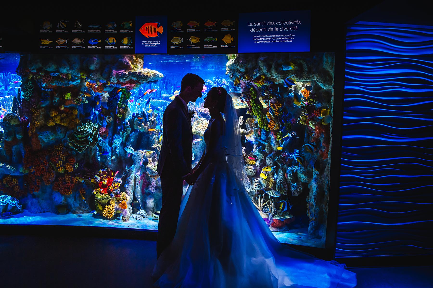 New England Aquarium Wedding Photos