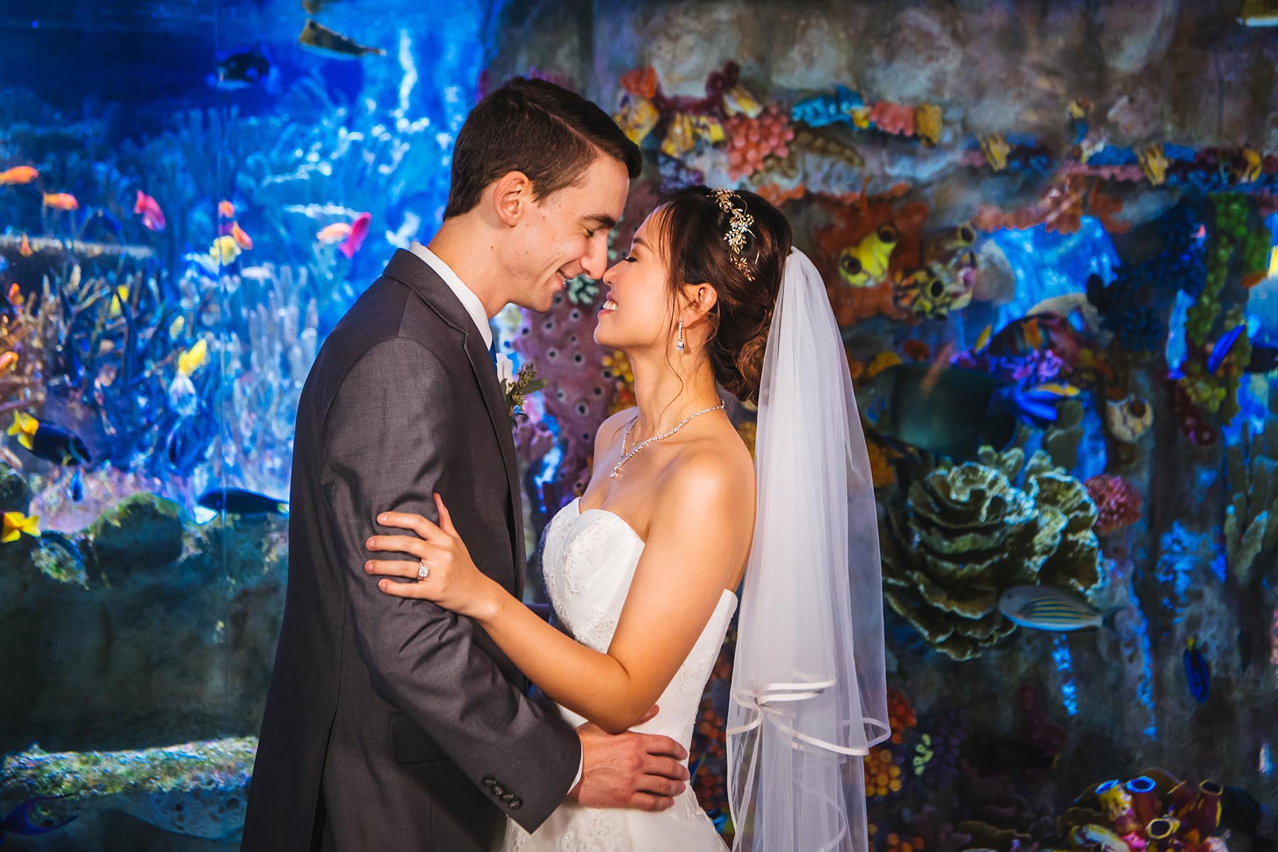Bride and Groom at New England Aquarium Wedding