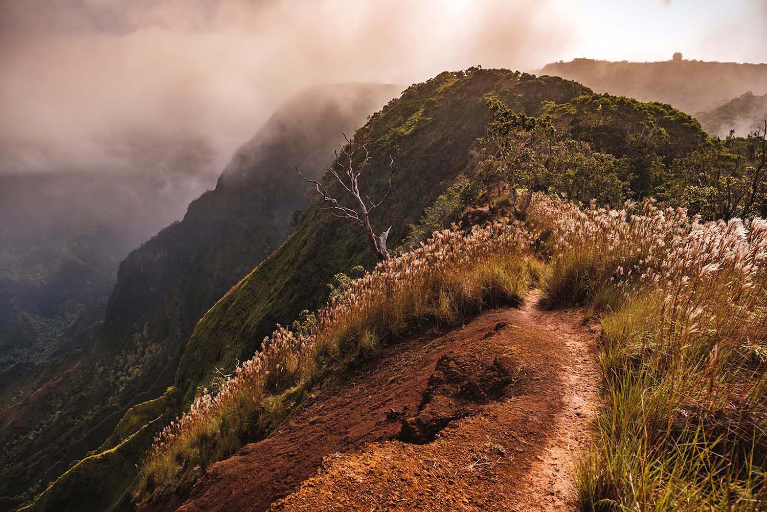 Sunrise mountain hike in Kauai