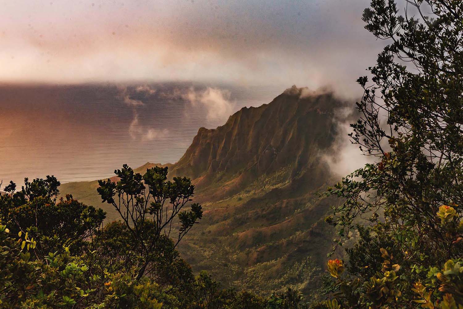 Hawaiian Mountain hike at sunset
