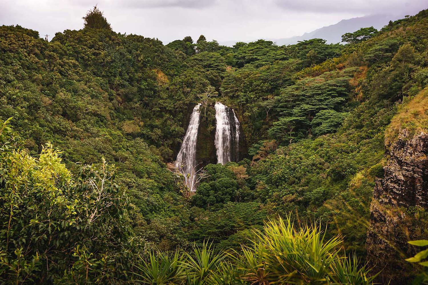 Ōpaekaʻa Falls Kauai