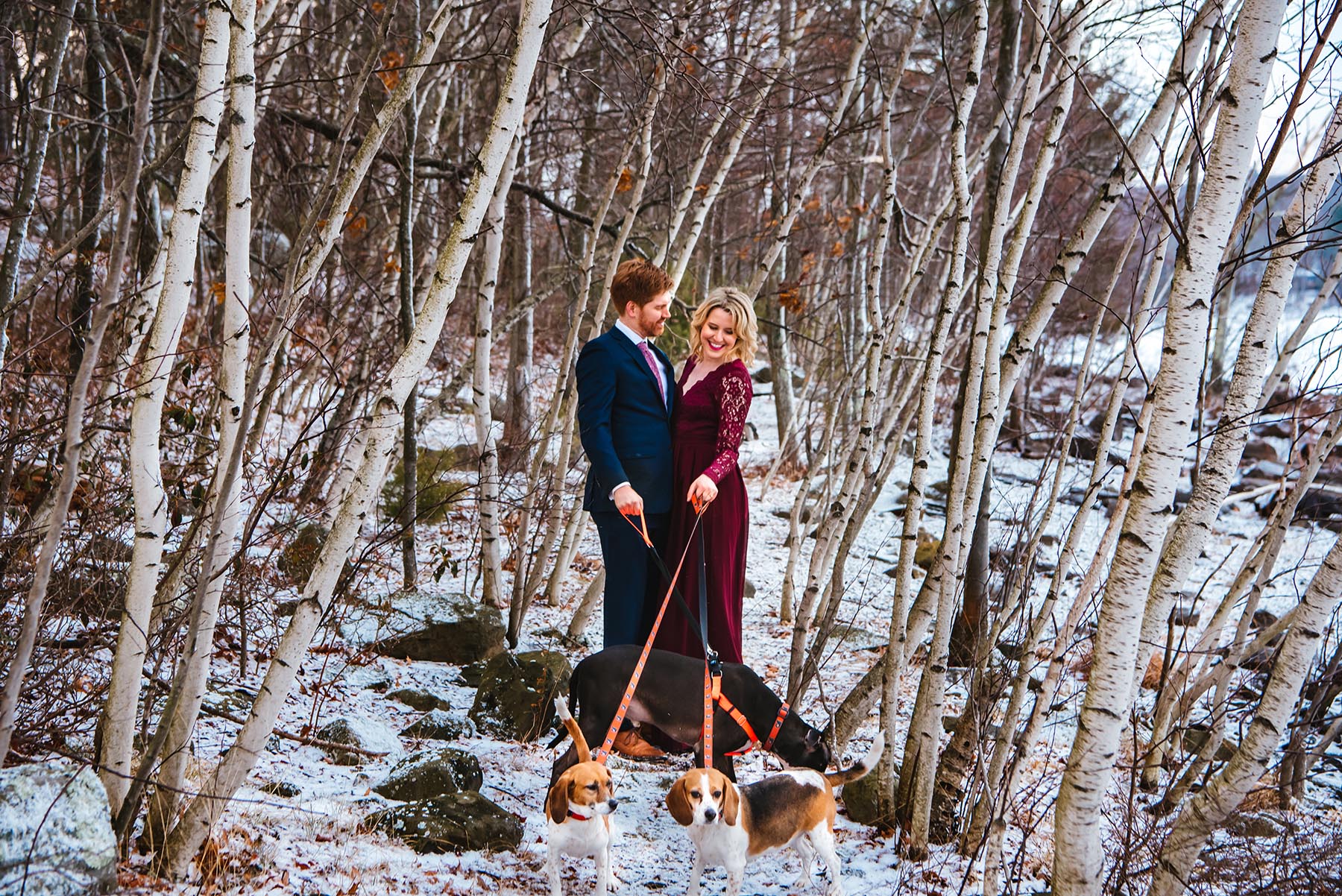 winter engagement session with dogs