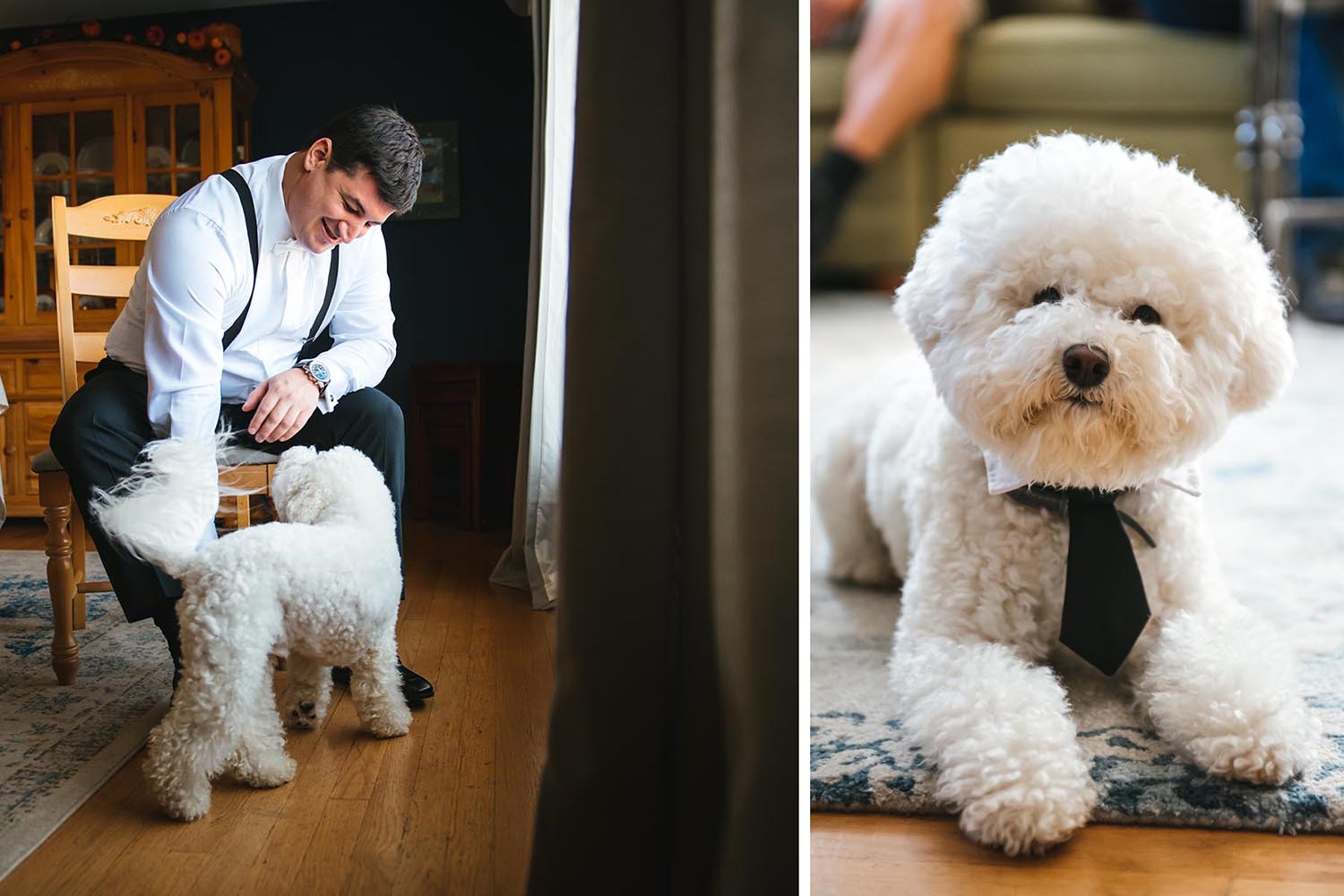 groom getting ready with dog