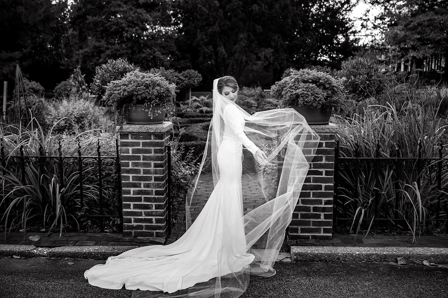 Mikaella Bridal long sleeve wedding dress with cathedral veil