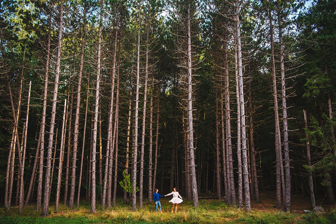 Catskills Forest Engagement Session