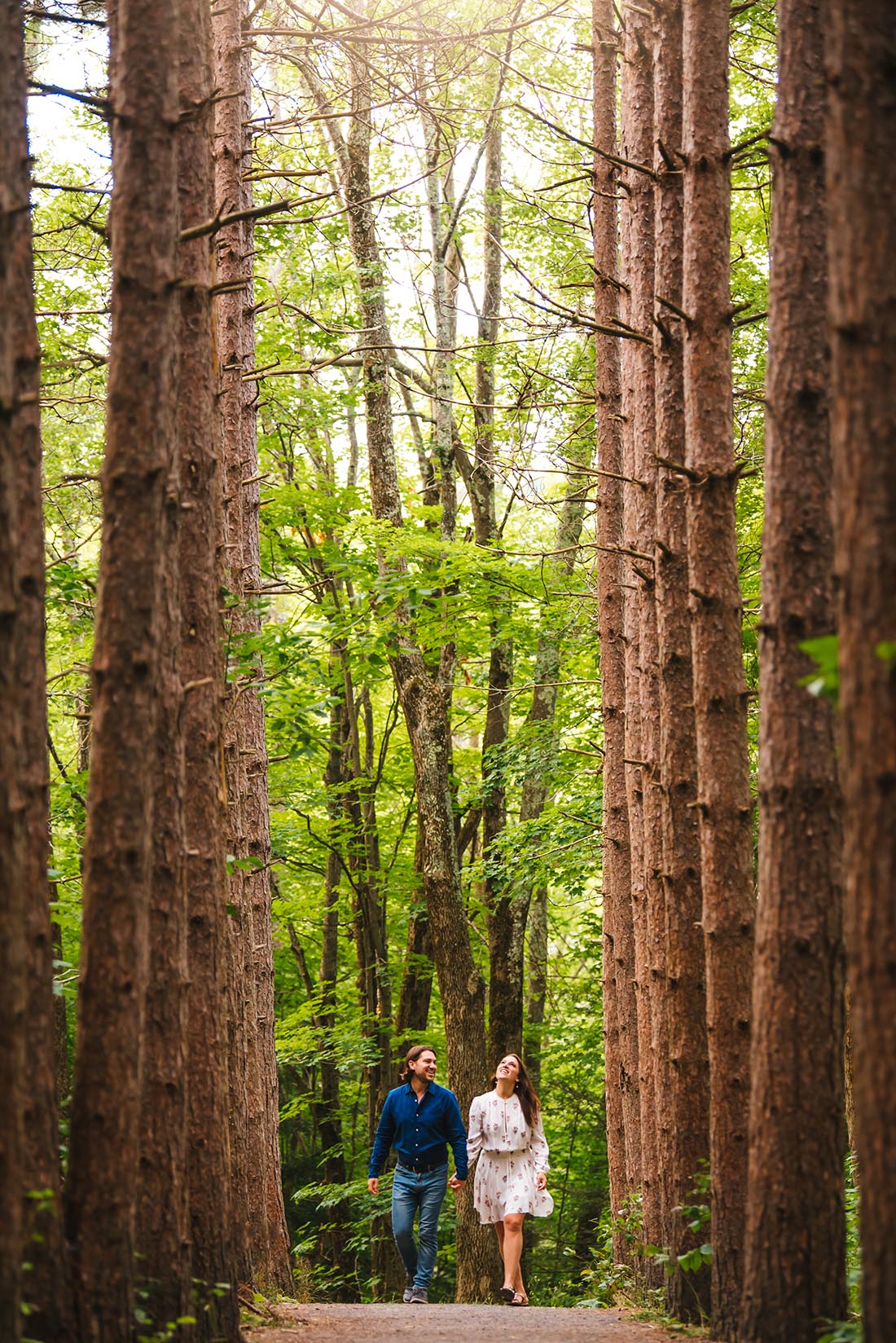 Catskills Forest Engagement Session
