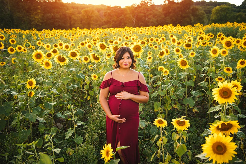 Sussex County Sunflower Maze Maternity Session