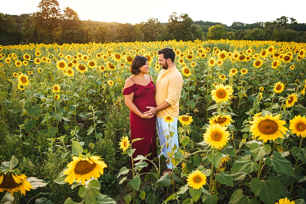 Sussex County Sunflower Maze Photographer