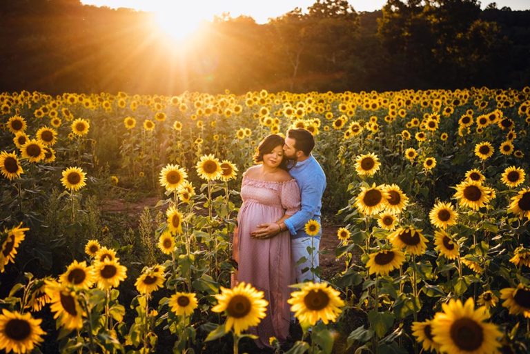 Sussex County Sunflower Maze Maternity