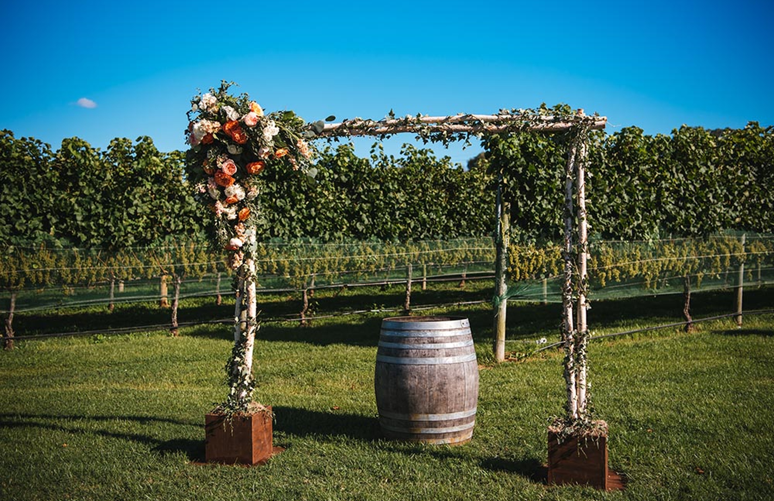 Willow Creek Winery Wedding 