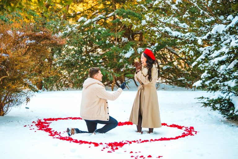 Winter Surprise Proposal