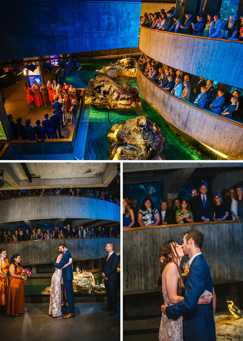 New England Aquarium Spring Wedding