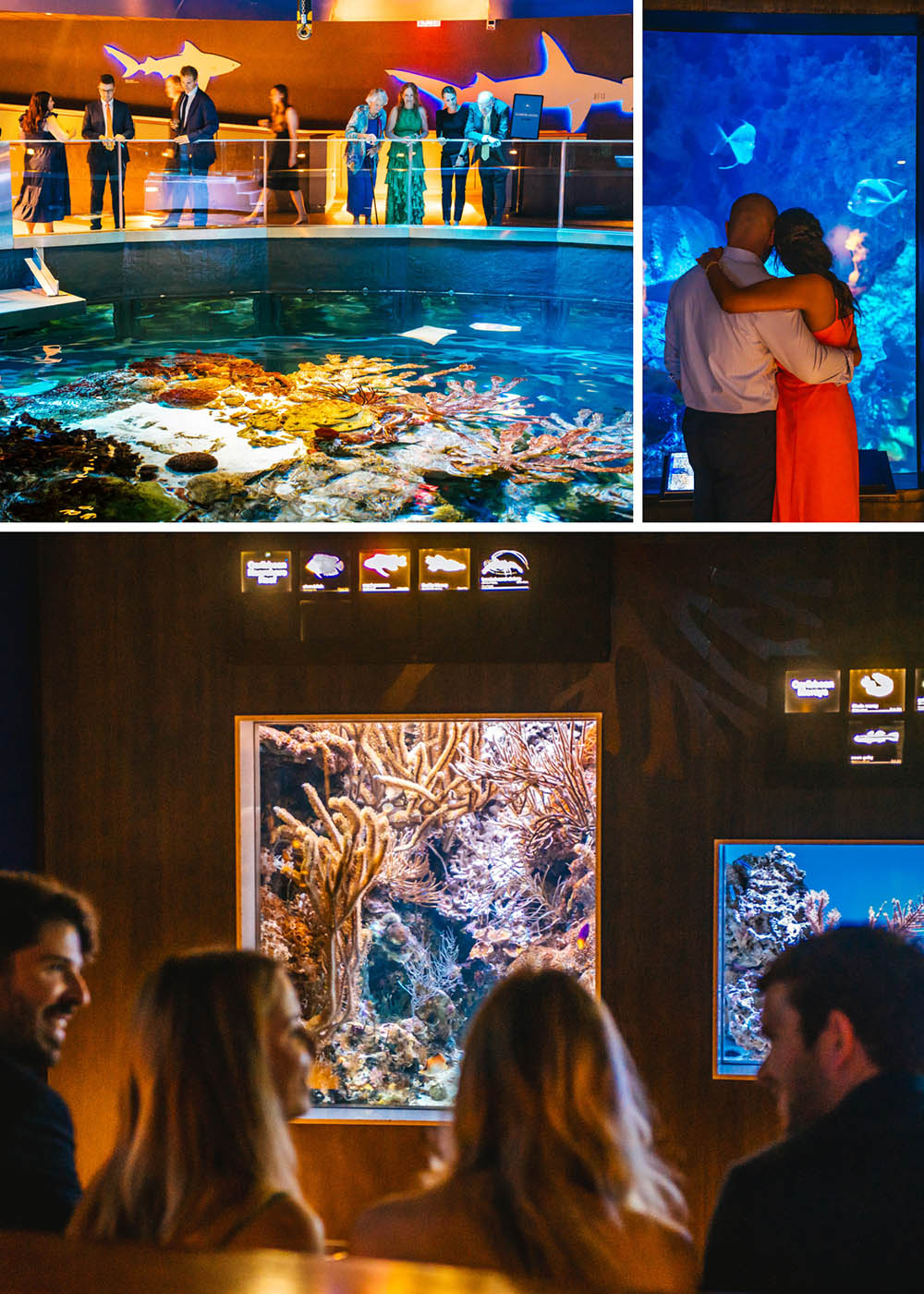 New England Aquarium Spring Wedding