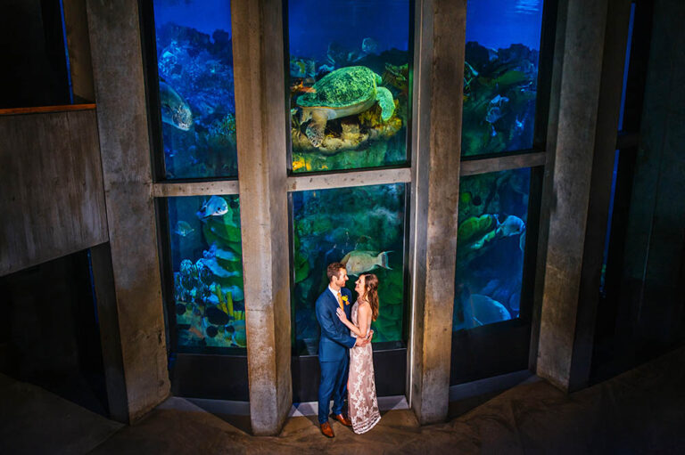 New England Spring Aquarium Wedding